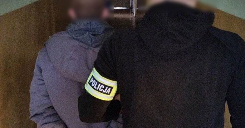 zdjęcie: 26-latek odpowie za kradzieże sklepowe / fot. KPP w Tczewie