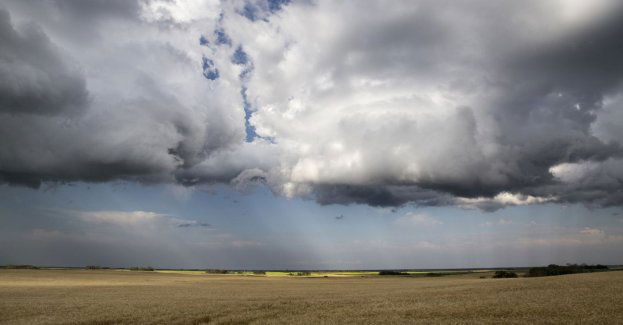 Po nawałnicy w rejonie Płocka trwa szacowanie strat; rolnicy mogą składać wnioski o pomoc