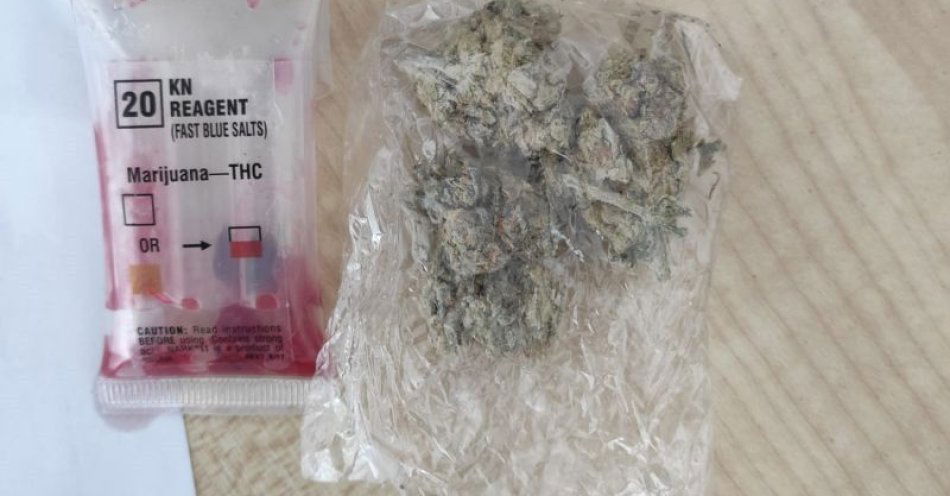 zdjęcie: Dwie osoby zatrzymane w Gryfowie Śląskim z narkotykami / fot. KPP w Lwówku Śląskim