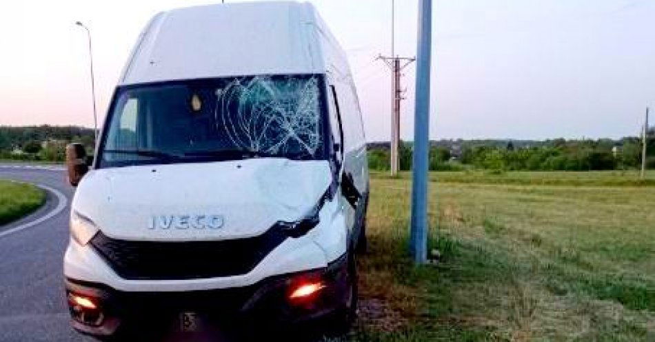 zdjęcie: Kolizja z łosiem na ,,ekspresówce