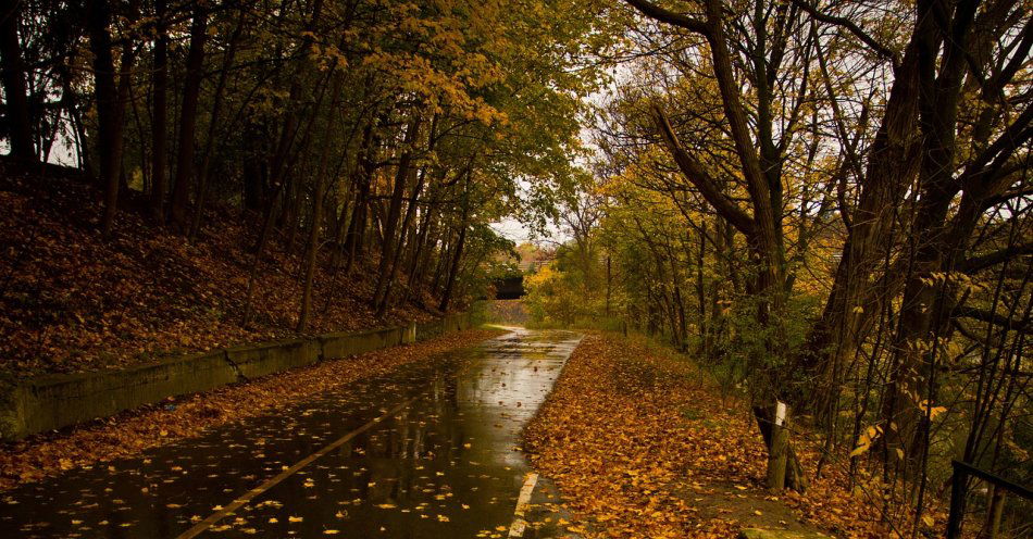 zdjęcie: Prognoza pogody na 26 października / pixabay/923273