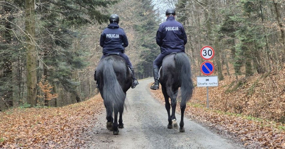 zdjęcie: Akcja Stroisz 25 Policja i straż leśna chronią lasy / fot. KPP w Strzyżowie fot. KPP Strzyżów