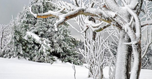 IMGW ostrzega przed silnym mrozem; nawet -25 st. C