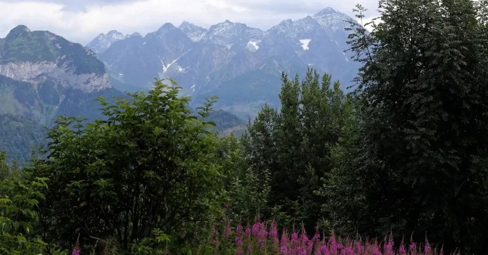 zdjęcie: Szlaki w Tatrach mokre i śliskie; duży ruch turystyczny i kolejki pod szczytami / Głodówka, 12.07.2019. Widok na Tatry Wysokie z rejonu miejscowości Głodówka, 12 bm. W ciągu kilku ostatnich dni w Tatrach nastąpiło załamanie pogody, na Podhalu padał deszcz, a w Tatrach Wysokich temperatura spadła poniżej zera i spadł śnieg. (kf) PAP/Grzegorz Momot