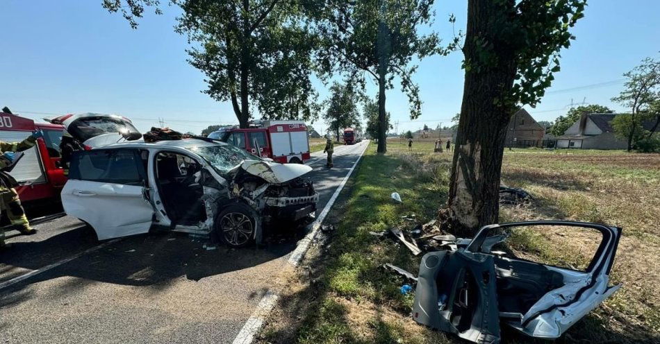 zdjęcie: Zasnął za kierownicą i uderzył w drzewo / fot. KPP Mogilno