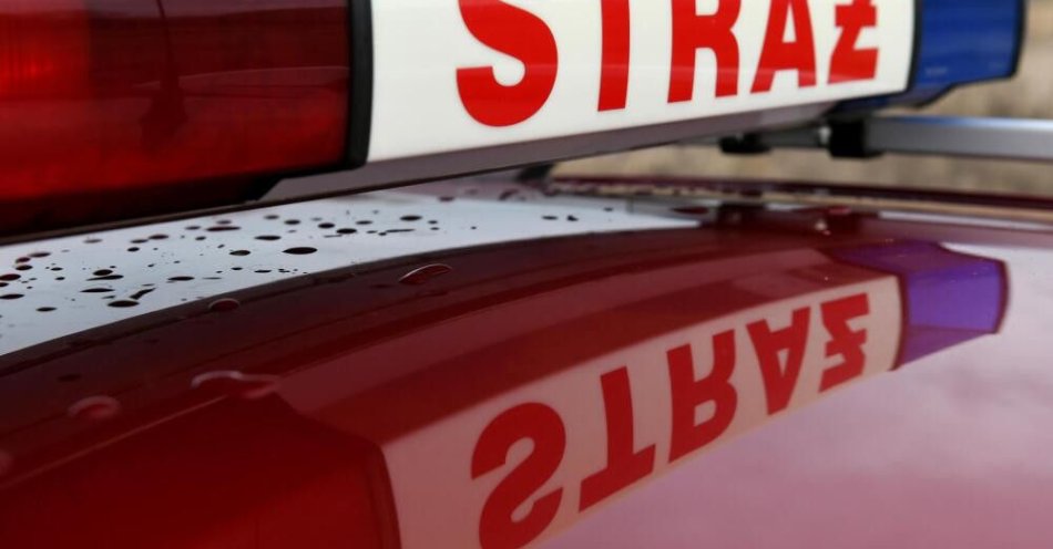 zdjęcie: Straż zabezpieczyła uszkodzony gazociąg w Ślęzy / Malhowice, 05.01.2020. Samochód Państwowej Straży Pożarnej w Malhowicach, 5 bm. (dd/awol)PAP/Darek Delmanowicz