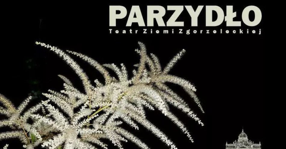 zdjęcie: Zgorzeleckie Spotkania z Teatrem / kupbilecik24.pl / Zgorzeleckie Spotkania z Teatrem