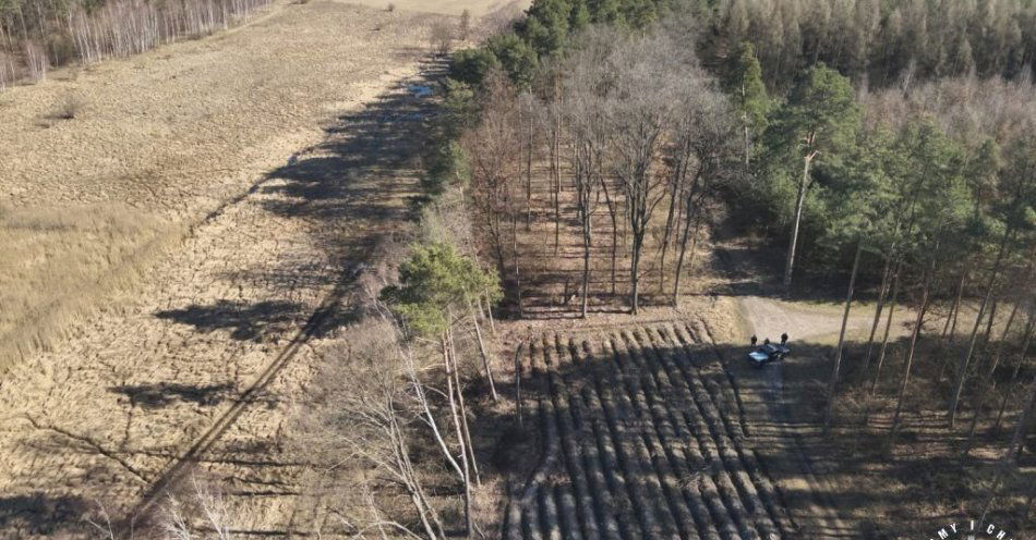 zdjęcie: Akcja Wieniec w powiecie pińczowskim. Kontrole w lasach / fot. KPP Pińczów