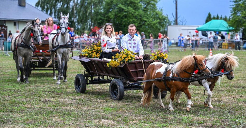 zdjęcie: Woźnice i konie, czyli Zlot Furmanek w Furmanach / fot. PAP