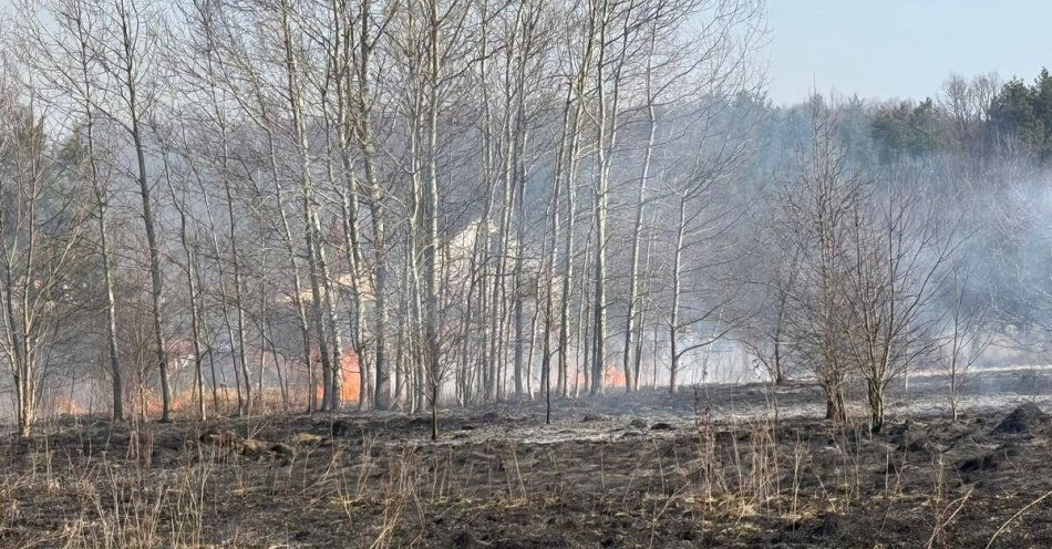 zdjęcie: Policja ugasiła pożar traw i uchroniła zabudowania / fot. KPP w Nisku fot.: KPP w Nisku