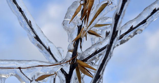 W części regionu marznący deszcz powodujący gołoledź; WCZK wydało alert