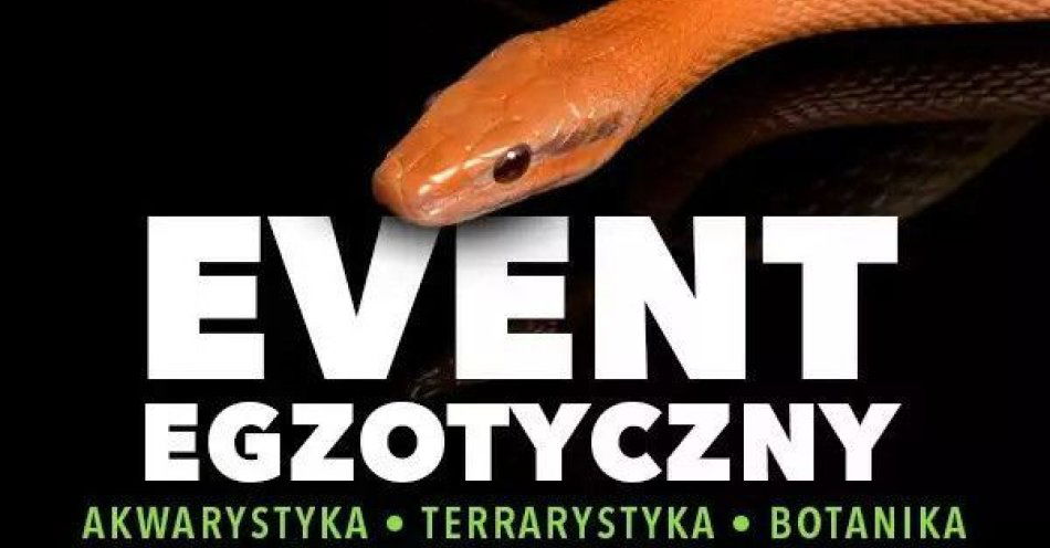 zdjęcie: Event Egzotyczny / kupbilecik24.pl / Event Egzotyczny