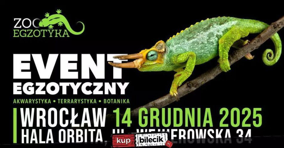 zdjęcie: ZooEgzotyka Wrocław 14 grudnia 2025 / kupbilecik24.pl / ZooEgzotyka Wrocław 14 grudnia 2025