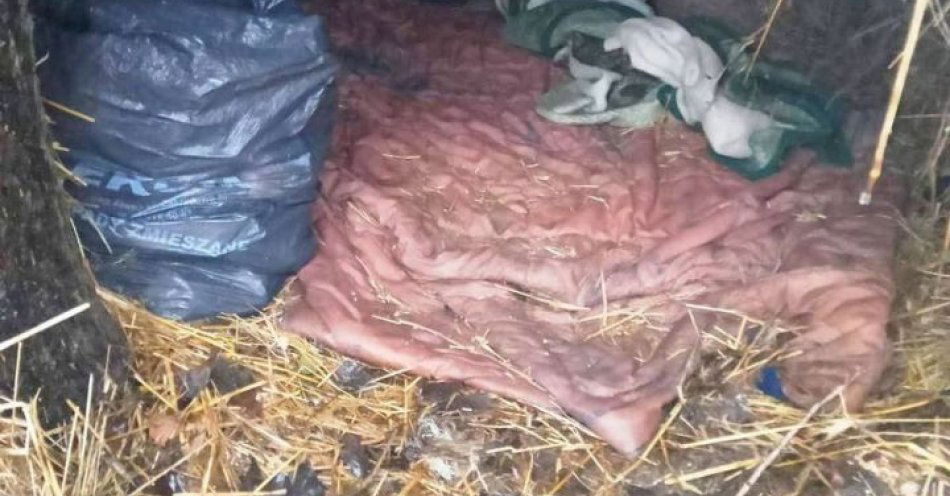 zdjęcie: 33 osoby poszukiwane zatrzymane przez policję w Kielcach / fot. KMP Kielce