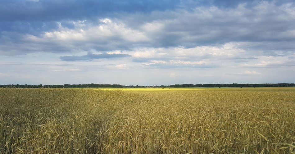 zdjęcie: W poniedziałek rozmowy ze stroną ukraińską; chcemy ustalić zasady przepływu produktów rolnych / pixabay/5822332