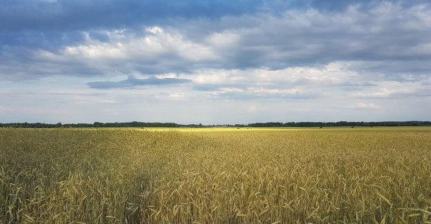 W poniedziałek rozmowy ze stroną ukraińską; chcemy ustalić zasady przepływu produktów rolnych