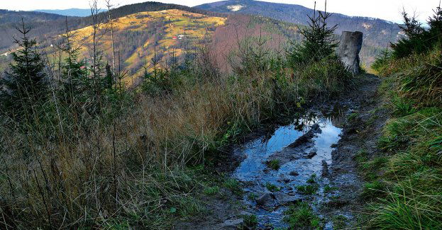 Mokro, błoto i wieje porywisty wiatr