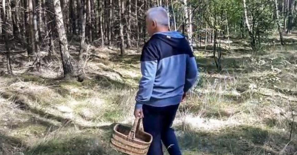zdjęcie: Cenne rady dla grzybiarzy / fot. KPP w Nidzicy