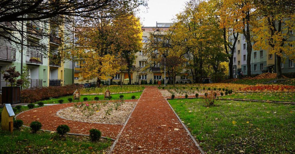 zdjęcie: Nowe, zielone przestrzenie w Katowicach / fot. nadesłane