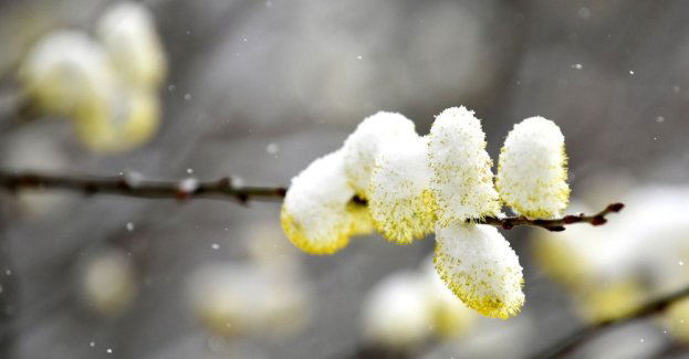 W najbliższych dniach wahania temperatury; IMGW ostrzega przed przymrozkami