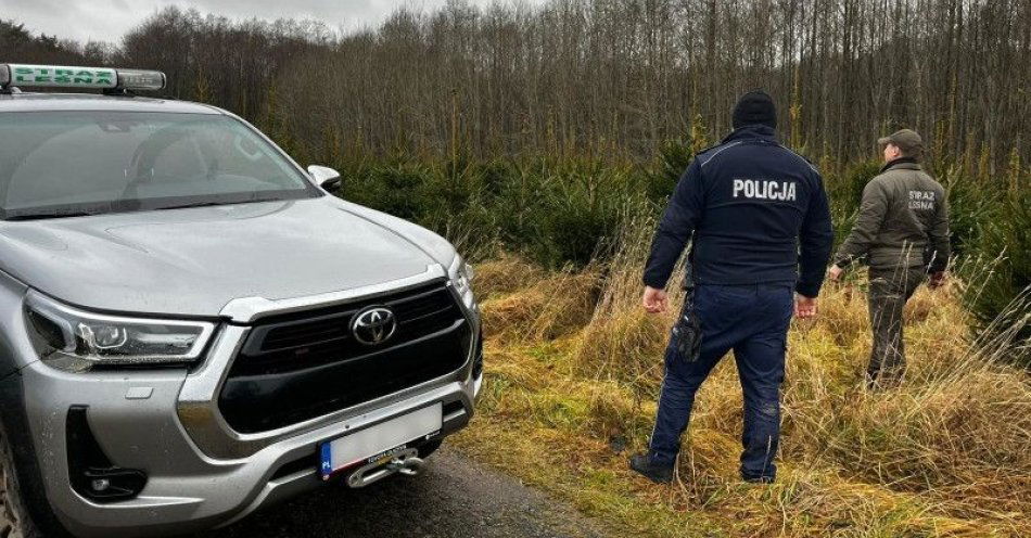zdjęcie: Policja i Straż Leśna współpracują w akcji Choinka 2025 / fot. KMP w Gdyni