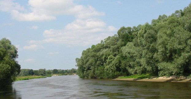 Włodawa: miasto z korzeniami sięgającymi Wielkiego Księstwa Litewskiego