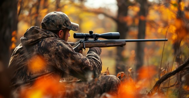 Prokuratura wnioskuje o areszt dla myśliwego podejrzanego o zabicie człowieka