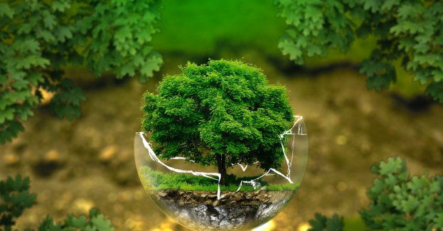 Ponad 14 mln dofinansowania na ekologiczne budownictwo