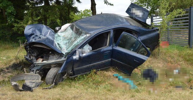 Wjechał w przydrożne drzewo