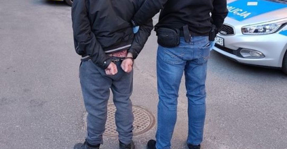 zdjęcie: 8 osób zatrzymanych podczas policyjnej akcji w Kołobrzegu / fot. KPP w Kołobrzegu