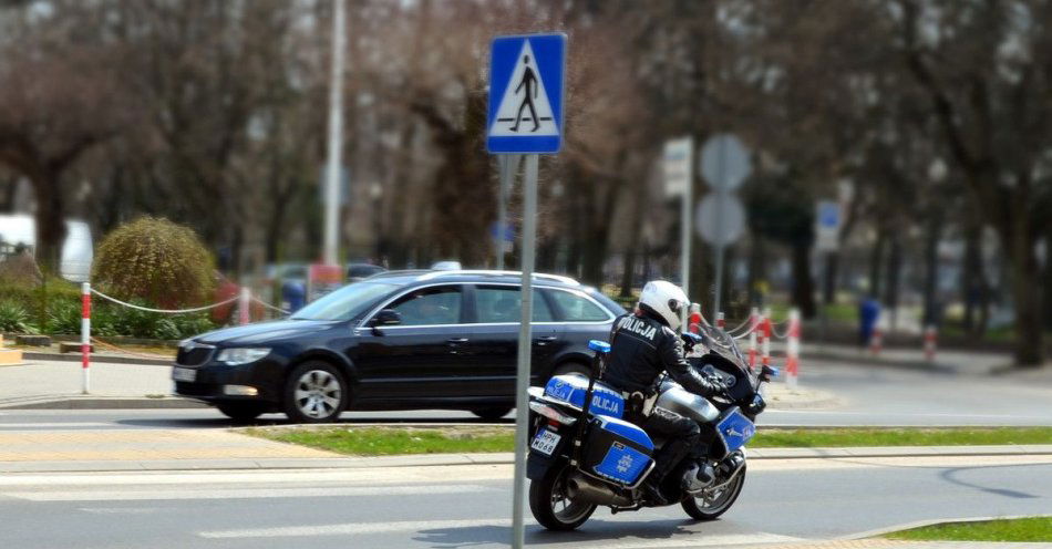 zdjęcie: Mławscy policjanci skontrolowali pieszych, ujawniono wiele wykroczeń / fot. KPP w Mławie