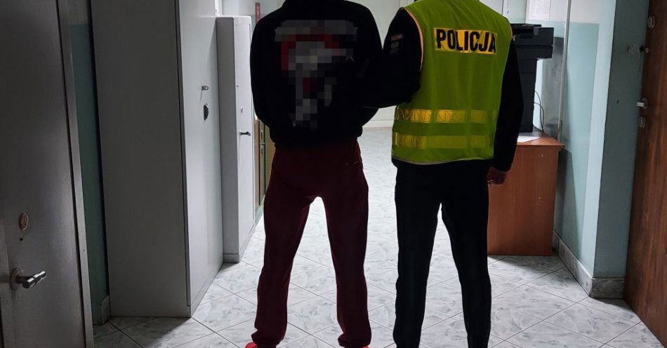 zdjęcie: Łowiccy policjanci zatrzymali czterech poszukiwanych / fot. KPP w Łowiczu