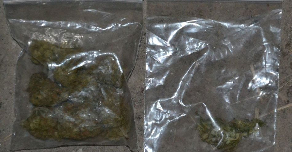 zdjęcie: Zatrzymano 27 letniego z amfetaminą i marihuaną w Pawłowie / fot. KPP Starachowice