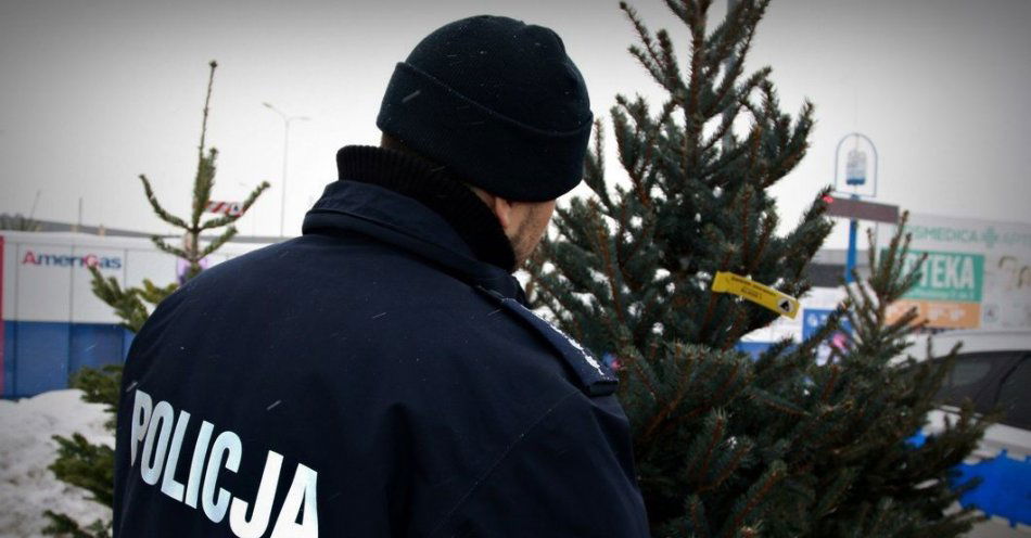 zdjęcie: Stop nielegalnej wycince choinek / fot. KPP Bielsk Podlaski