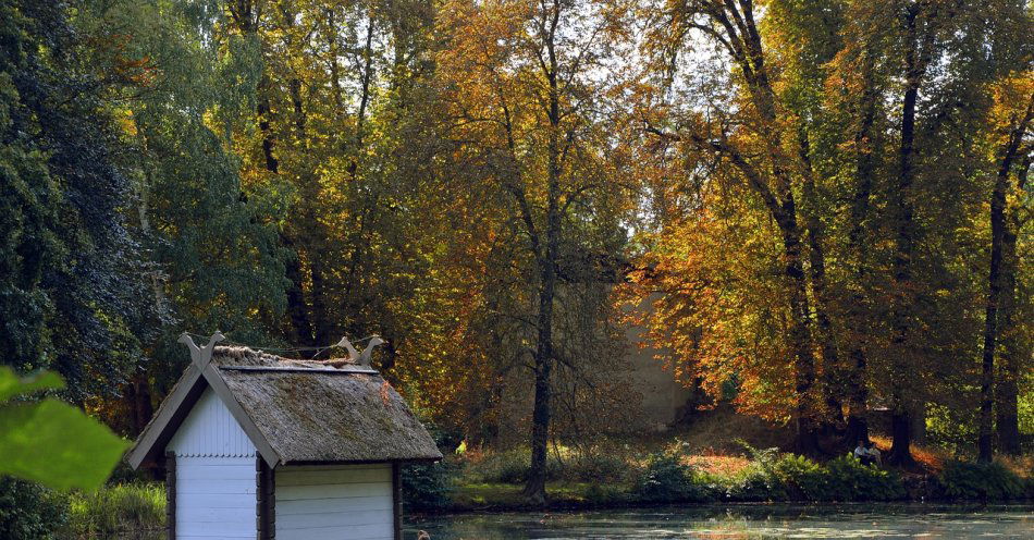 zdjęcie: Utonął w przydomowym stawie / pixabay/3683420