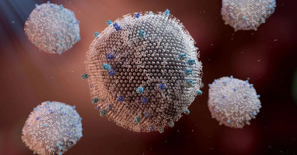zdjęcie: Profilaktyka RSV - klucz do ochrony przed ciężkim przebiegiem zakażenia / fot. nadesłane - Wirus RSV (Respiratory Syncytial Virus), czyli syncytialny wirus oddechowy / Fot: East News