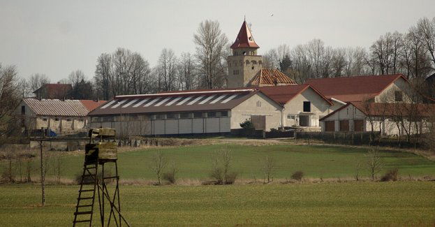 Myszków w krainie krakowsko-częstochowskiej