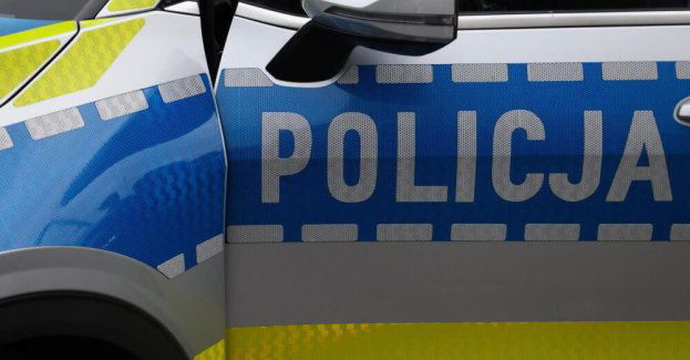 Mieszkaniec Częstochowy z zarzutem za przetrzymywanie niedźwiedzia