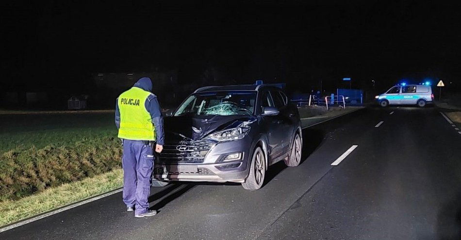 zdjęcie: Śmiertelne potrącenie pieszego w Dąbrówce / fot. KPP Mogilno