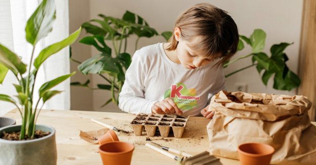 Ziemia ma swoje święto - czas na lekcję odpowiedzialności za planetę