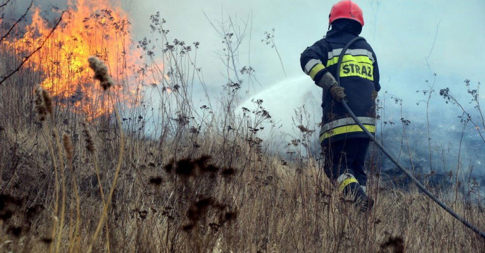 zdjęcie: Ponad 1,3 mln złotych strat w pożarach traw i ofiara śmiertelna / fot. PAP