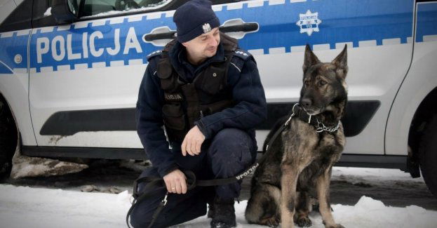 Morus doprowadził do wyziębionego 30-latka