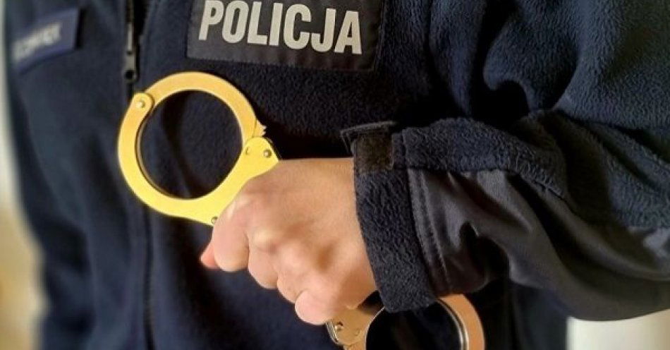 zdjęcie: Odpowiedzą za udział w bójce i kierowanie gróźb karalnych / fot. KPP w Pułtusku