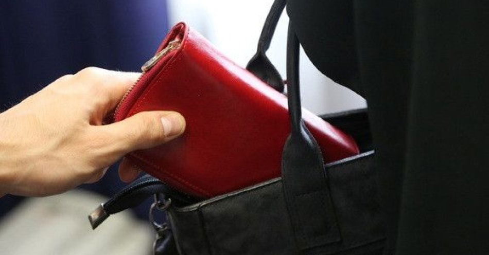 zdjęcie: Świadkowie zatrzymali sprawcę próby kradzieży w Nowym Targu / fot. KMP w Nowym Targu