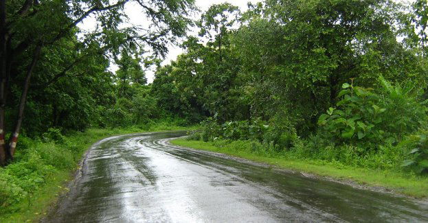 Mokra i śliska nawierzchnia oraz wędrująca zwierzyna leśna to nie lada wyzwanie dla kierowcy. nie zapominajmy o ostrożności w okresie jesienno – zimow