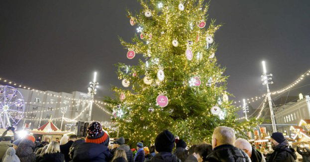 Choinka na katowickim rynku rozbłysła tysiącami światełek