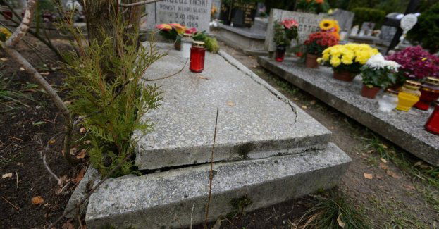 Blisko 570 grobów wojennych powstańców wielkopolskich zachowało się do naszych czasów