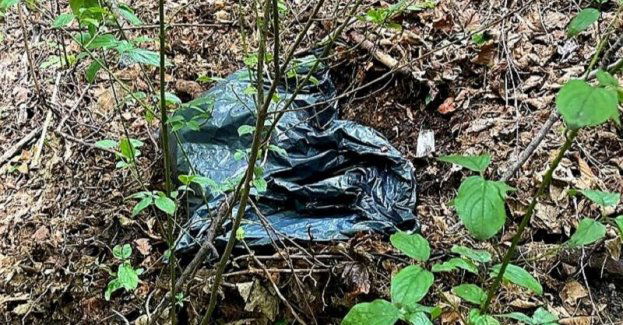 Policja zatrzymała 56-latka podejrzanego o kradzież elektronarzędzi. Swoje „łupy” zakopał w lesie