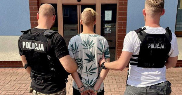 17-latek usłyszał cztery zarzuty za kradzieże i włamania