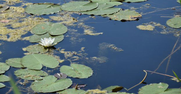 Zakończyły się poszukiwania zaginionej Krystyny Jończyk